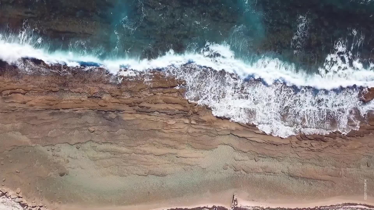 Innovation Wave