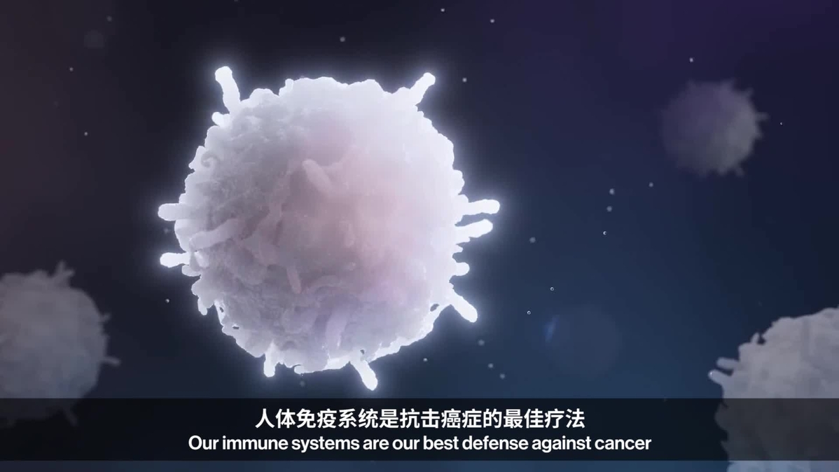 攻克免疫疗法的谜题