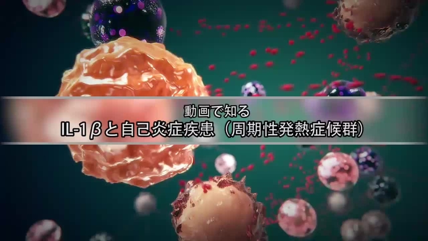 IL-1βと自己炎症疾患