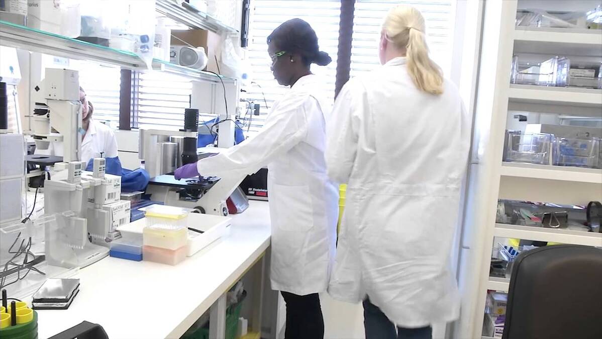 Inspiring the next generation of scientists 2014