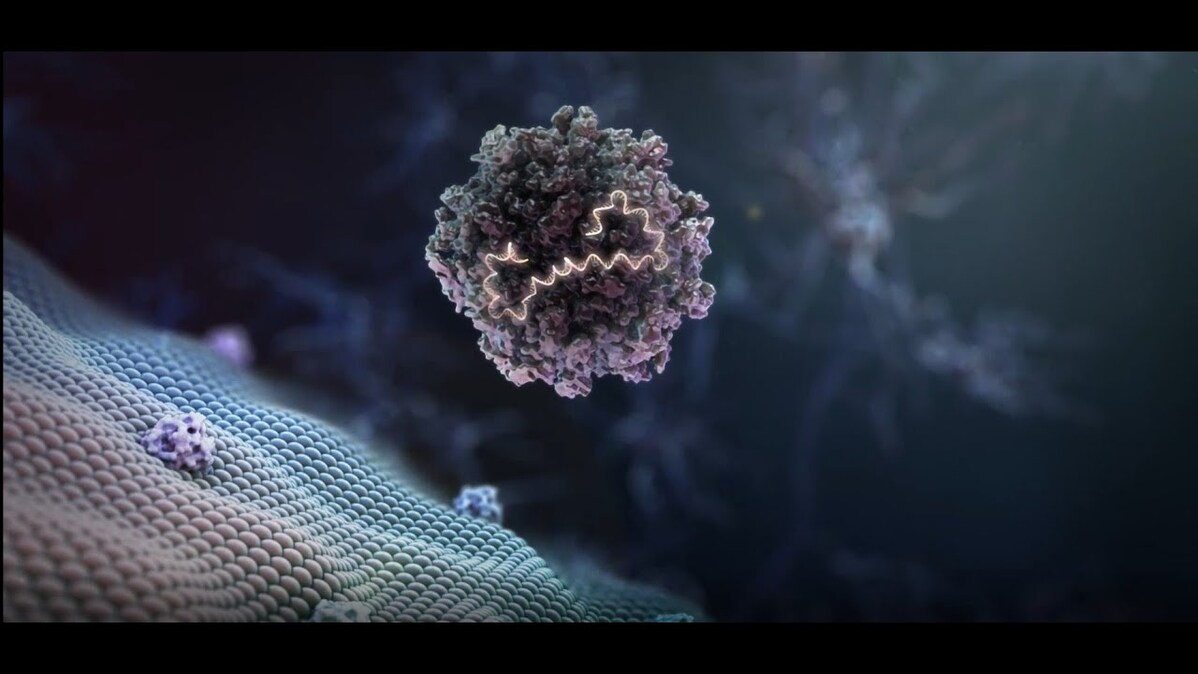 Una plataforma de terapia genética para el tratamiento de enfermedades