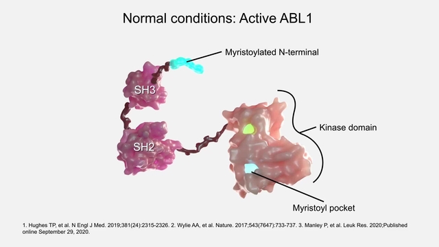 CMLの病態とアシミニブの作用機序