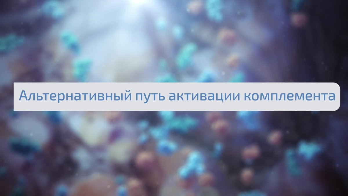 ap_complimeta_02