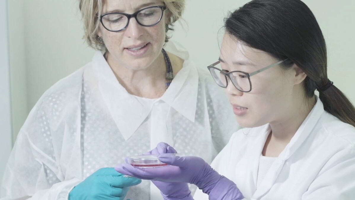 Seeing the future of gene therapy: In the lab