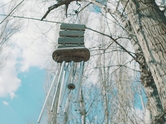 pexels_videos_2122934 (1080p).mp4