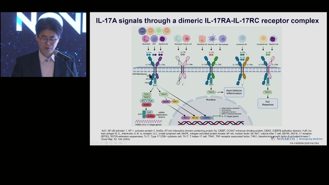 IL-17A Signaling