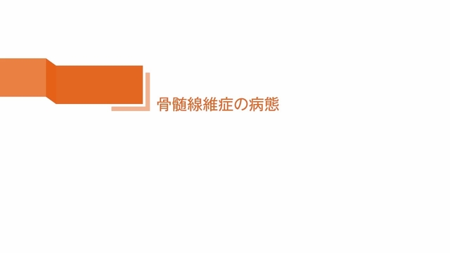 骨髄線維症の病態