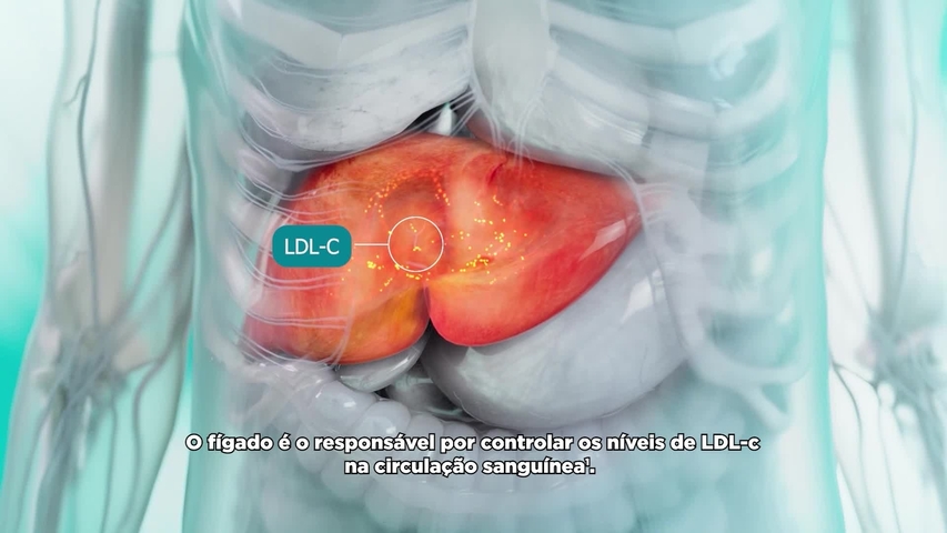 Mecanismo de ação do Sybrava®