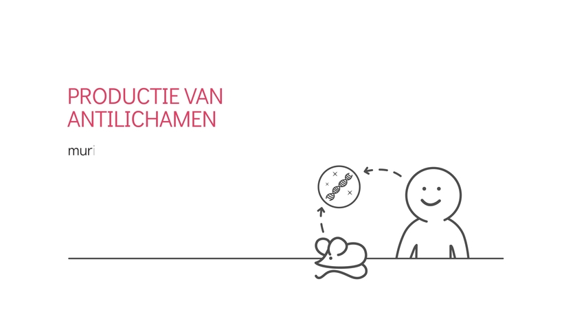 Productie Antilichamen