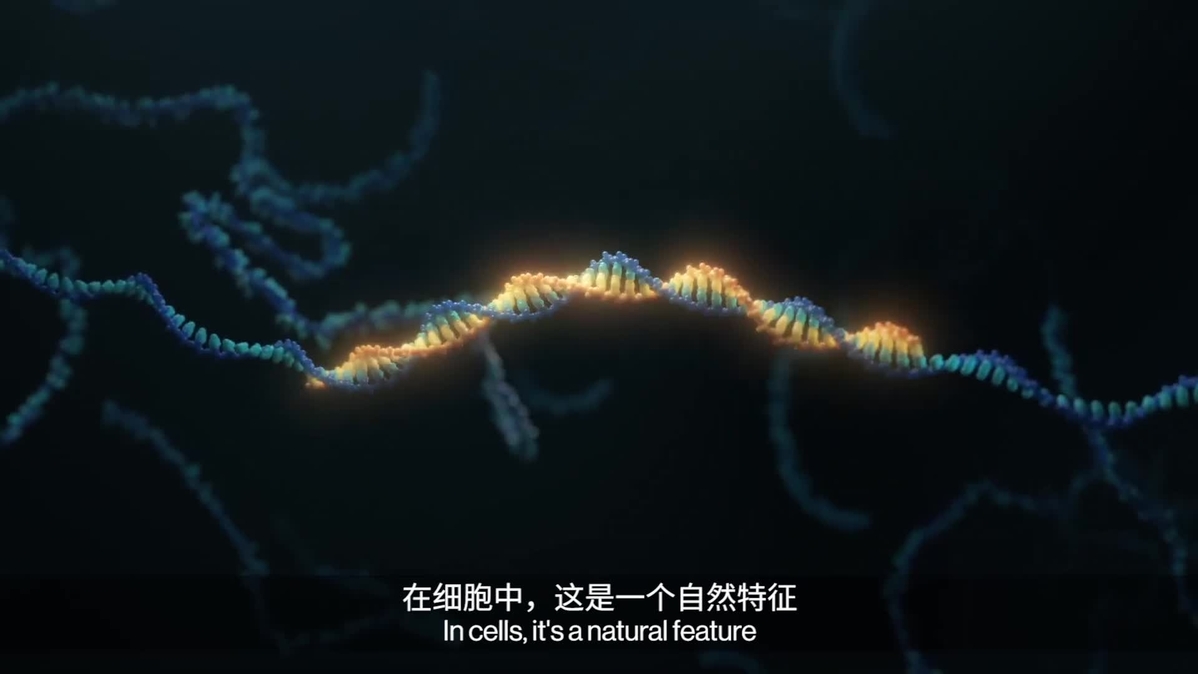 RNA靶向药物的发展之旅