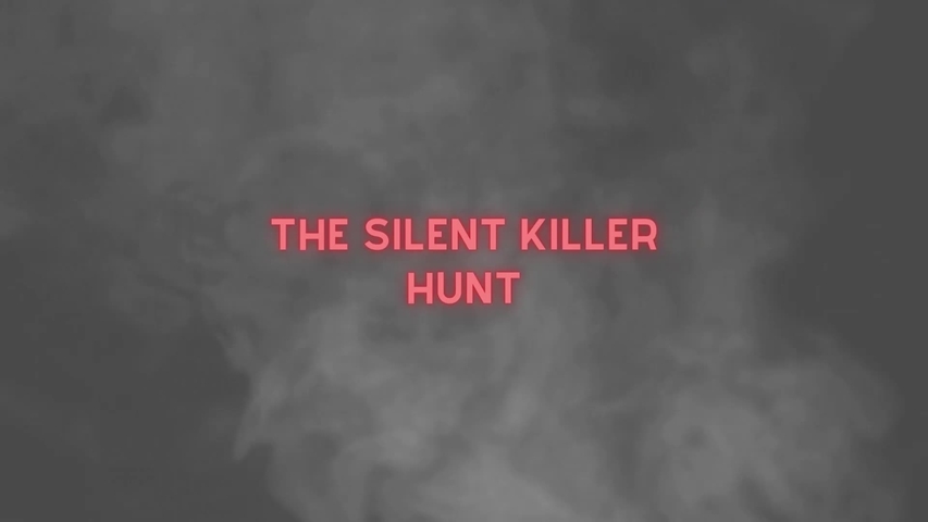 LNTU film engleski final