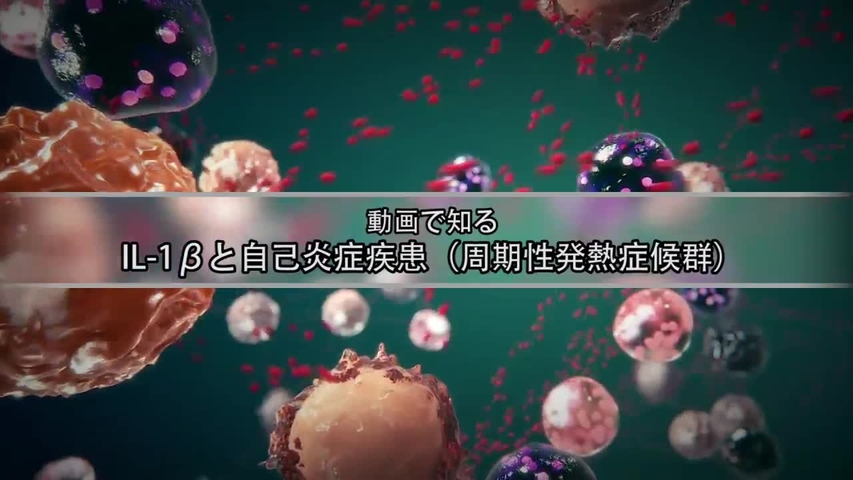 IL-1βと自己炎症疾患（周期性発熱症候群）