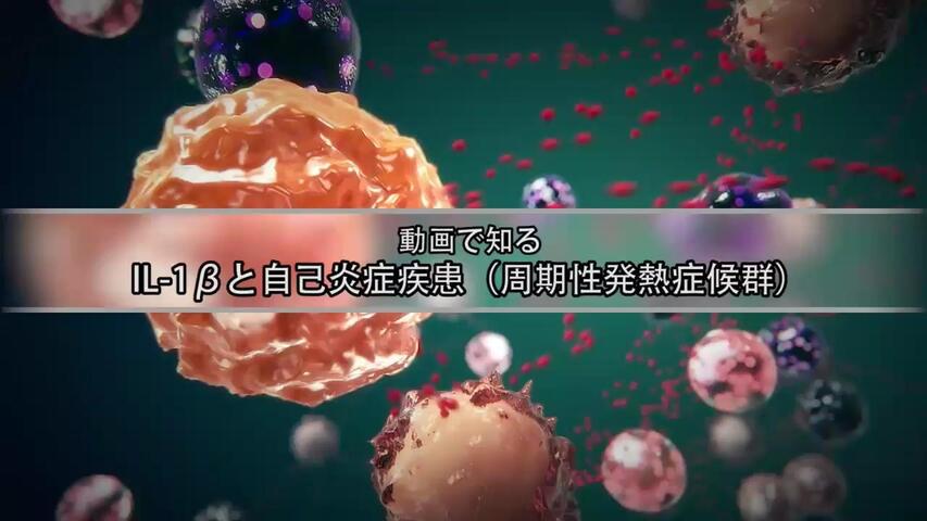 IL-1βと自己炎症疾患（周期性発熱症候群）