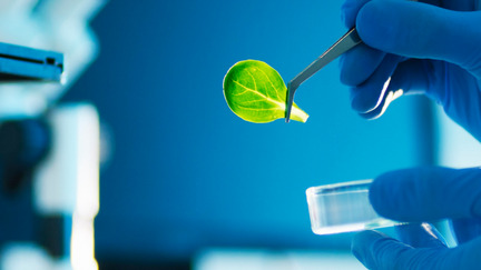 Biyoteknoloji: Sağlık Bakımında Öncü Yaklaşım