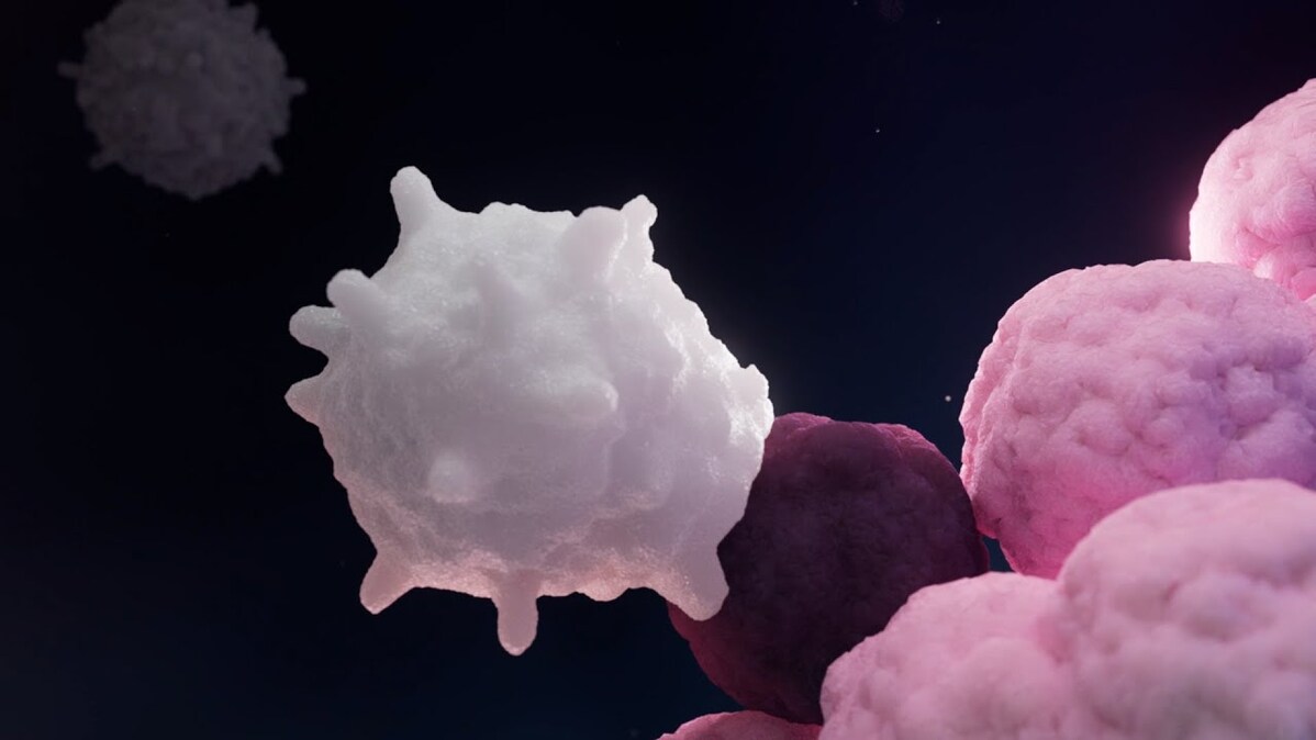Solving the puzzle of immunotherapy