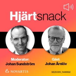 Primärprevention i gränslandet mellan kardiologi och primärvård