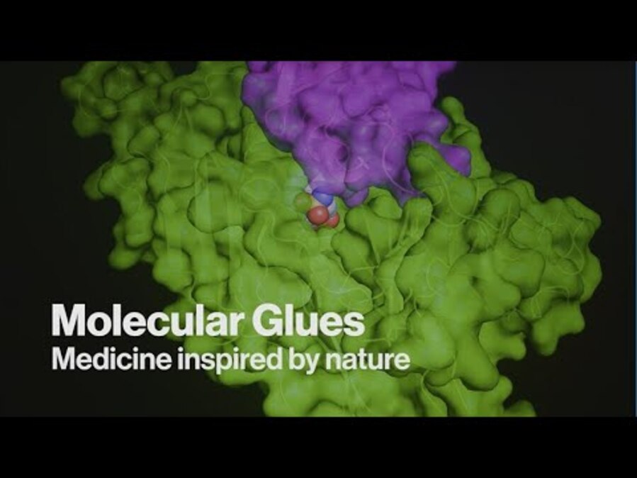 Molecular Glues as Medicine