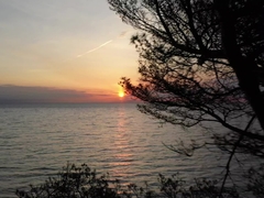 Test ISI Video