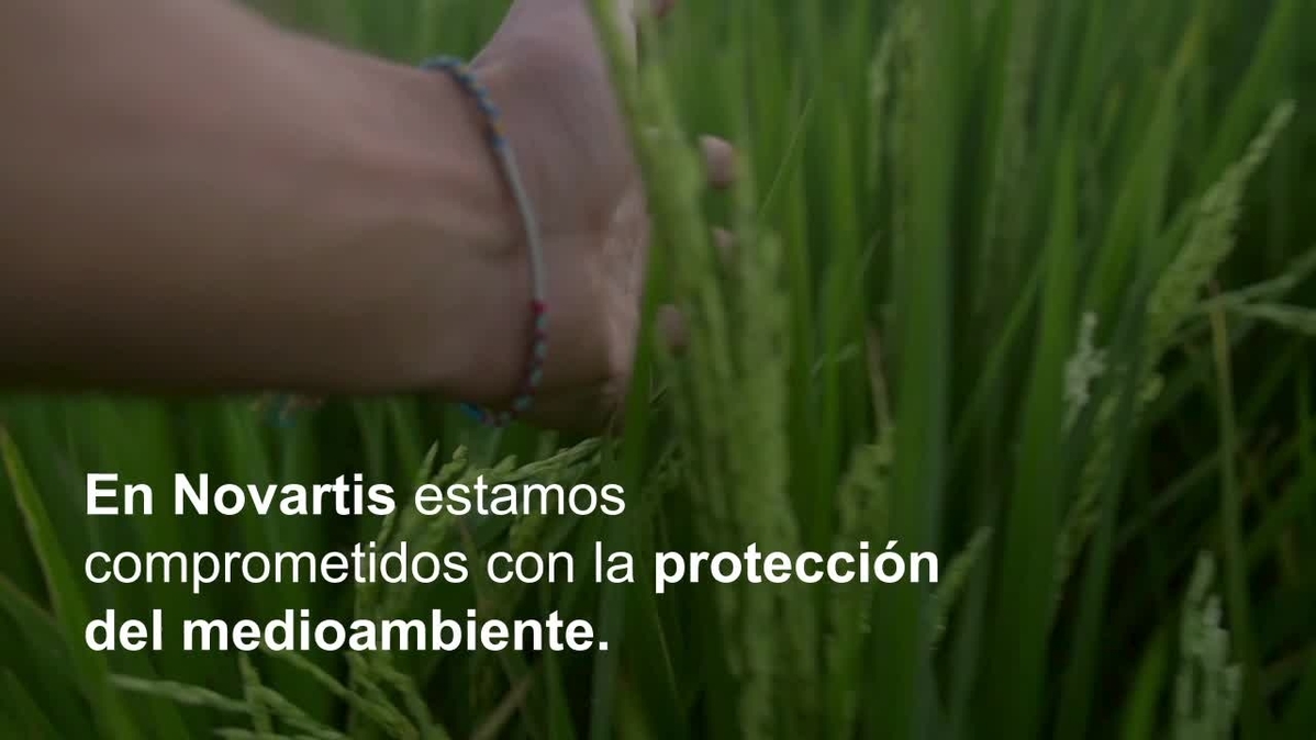 Apostamos por la energía eléctrica renovable para dejar una huella más sostenible en el planeta