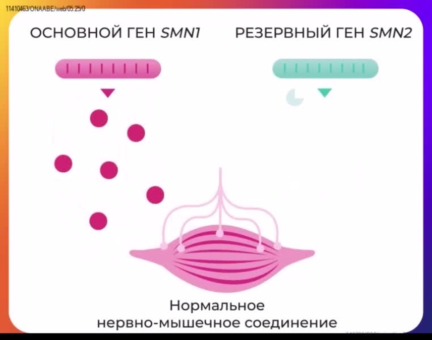 Здоровый ребенок1