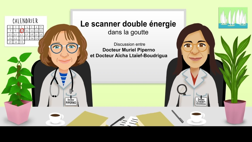 [Rhumatologie] Le scanner double énergie dans la goutte