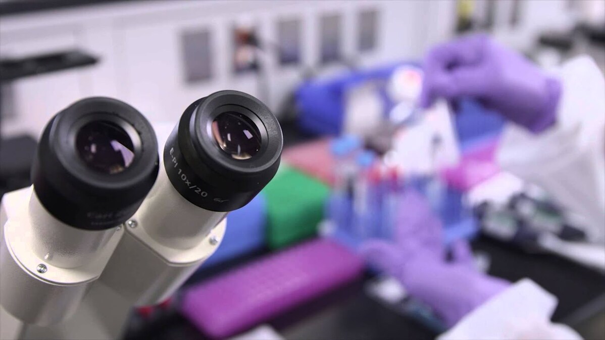 Inspired to Change Lives: Reprogramming Patient Cells to Potentially Treat Cancer