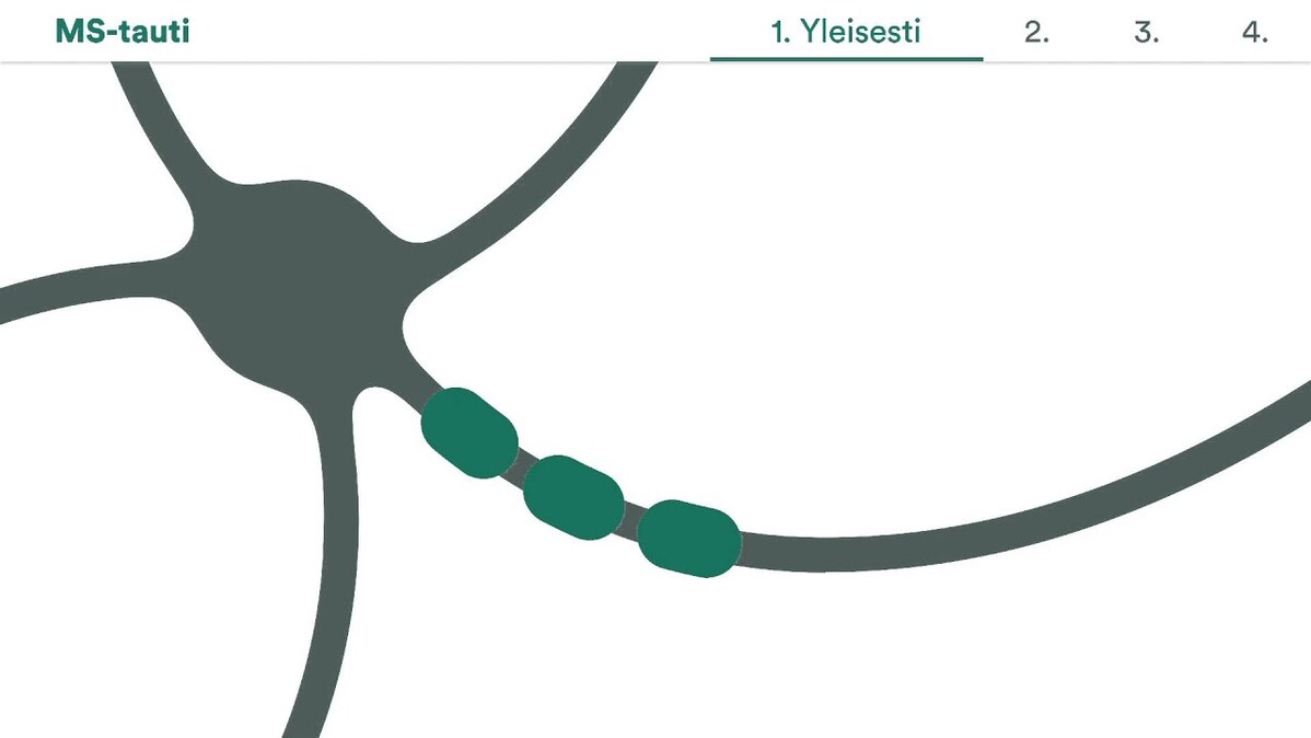 1. MS-taudista yleisesti