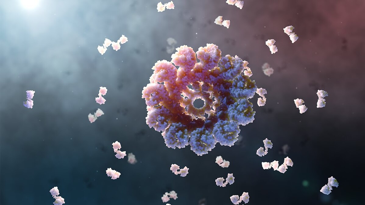 Introducing the inflammasome