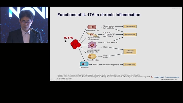 IL-17A Function & Production