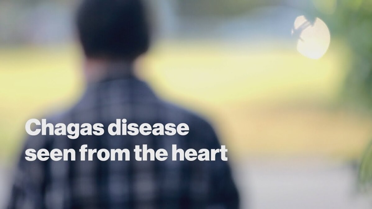 Chagas disease: seen from the heart