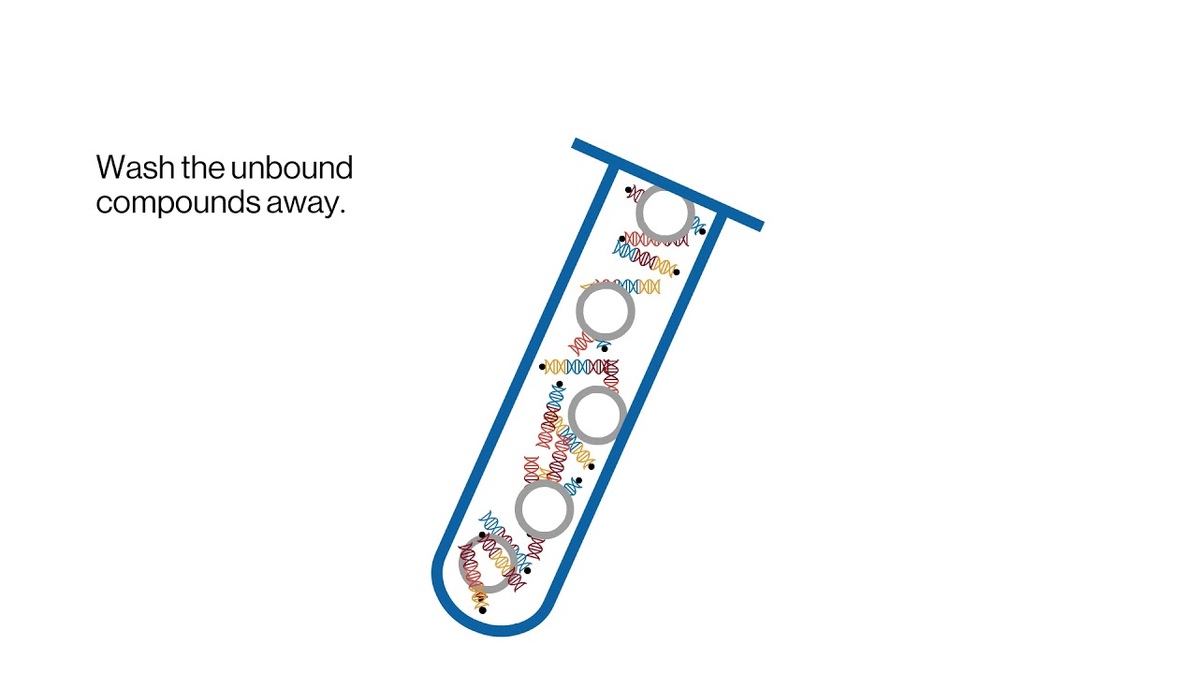 Drug discovery with DNA-encoded libraries