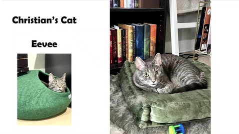 Thumbnail for LAW-F21-Civil Procedure-Lahav