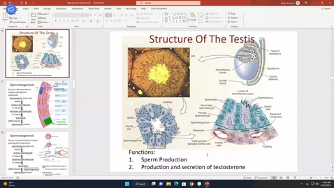 Thumbnail for Male and Female Reproduction