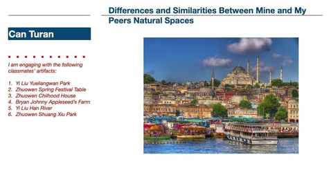 Thumbnail for Can Turan Mod 2 Draft