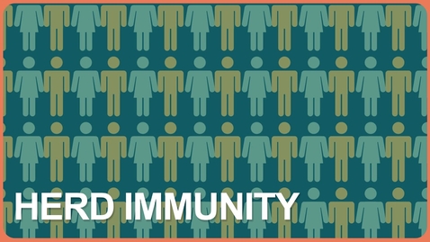 Thumbnail for entry Vaccines and Herd Immunity