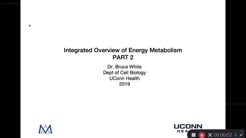 Thumbnail for Overview of Energy Metabolism Part 2