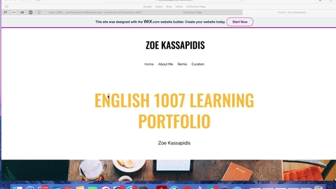 Thumbnail for Zoe's Usability Review