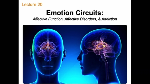 Thumbnail for Lecture 20_Emotion Circuits 041123