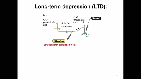 Thumbnail for Lecture 15