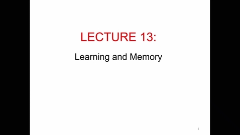 Thumbnail for Lecture 13