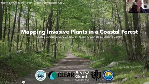 Thumbnail for Mapping Invasive Plants in a Coastal Forest