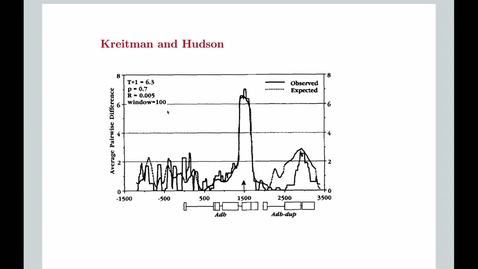 Thumbnail for EEB 5348 - 26 October 2023