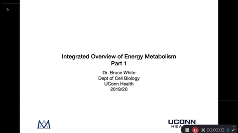 Thumbnail for entry Overview of Energy Metabolism Part 1