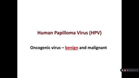Thumbnail for Clip of HPV Benign strains and papilloma