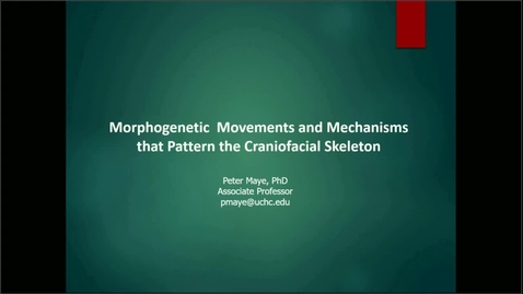 Thumbnail for OHP-FDSC 9161-10: Head and Face Development (4.18.23)