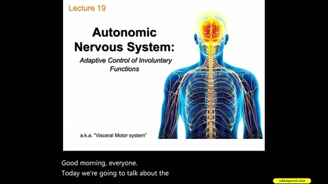 Thumbnail for entry Lecture 19_Autonomic Nervous System