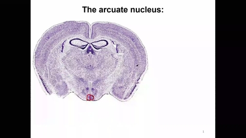 わかりやすい核医学 = Textbook of Clinical Nuclea… わかりやすい核医学 | 玉木 長良 |本 | 通販 | Amazon