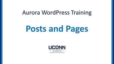 Thumbnail for 05-Posts and Pages