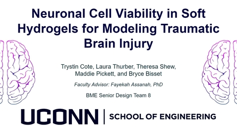 Thumbnail for SD2023.BME.08