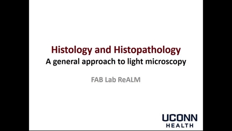 Thumbnail for Approach to light microscopy - ReALM EN